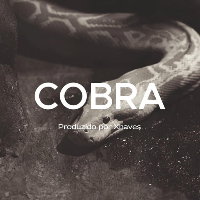 Cobra